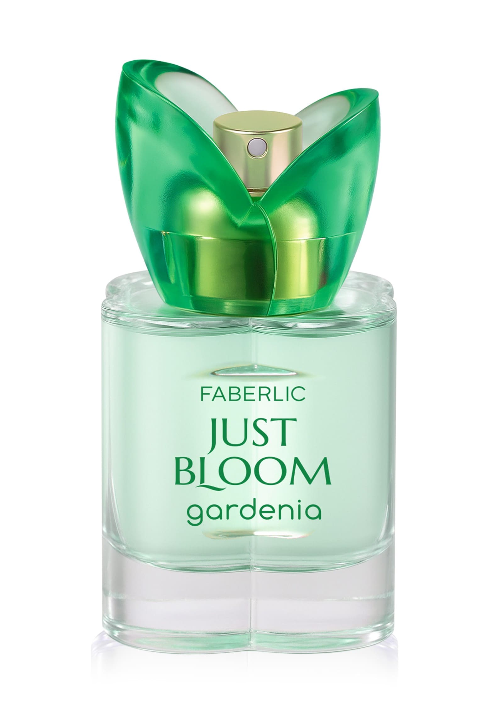 Just Bloom Gardenia